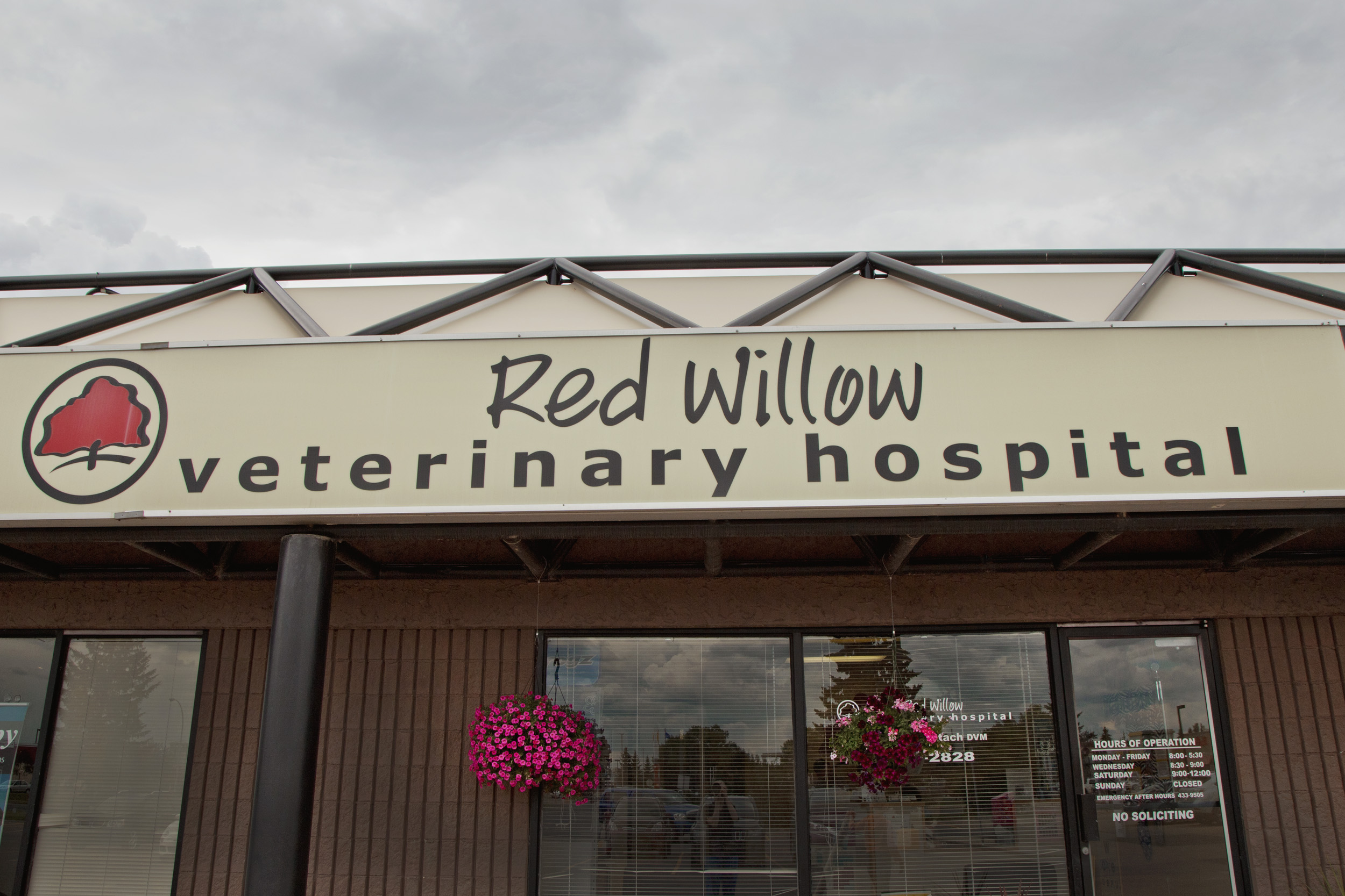 willow tree animal hospital